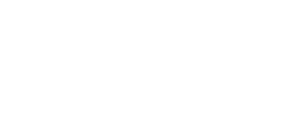 Sleepy Owl